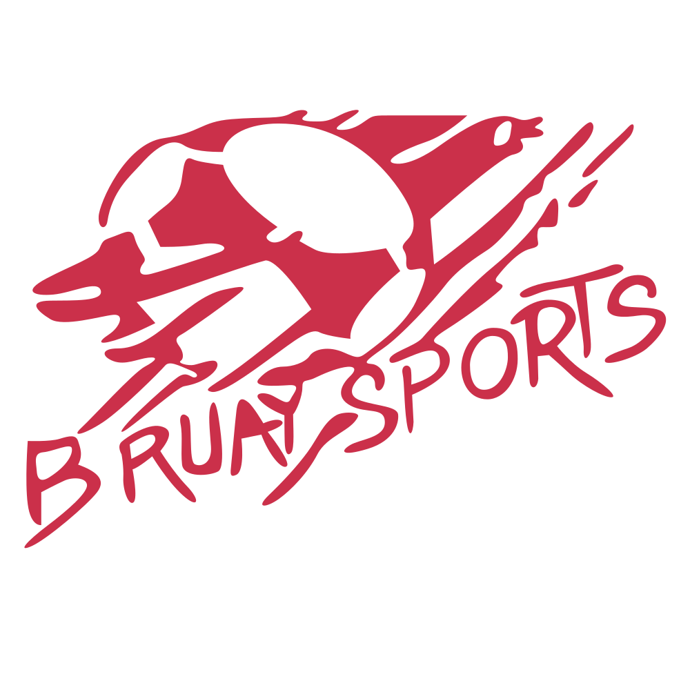 S. BRUAY S/ESCAUT