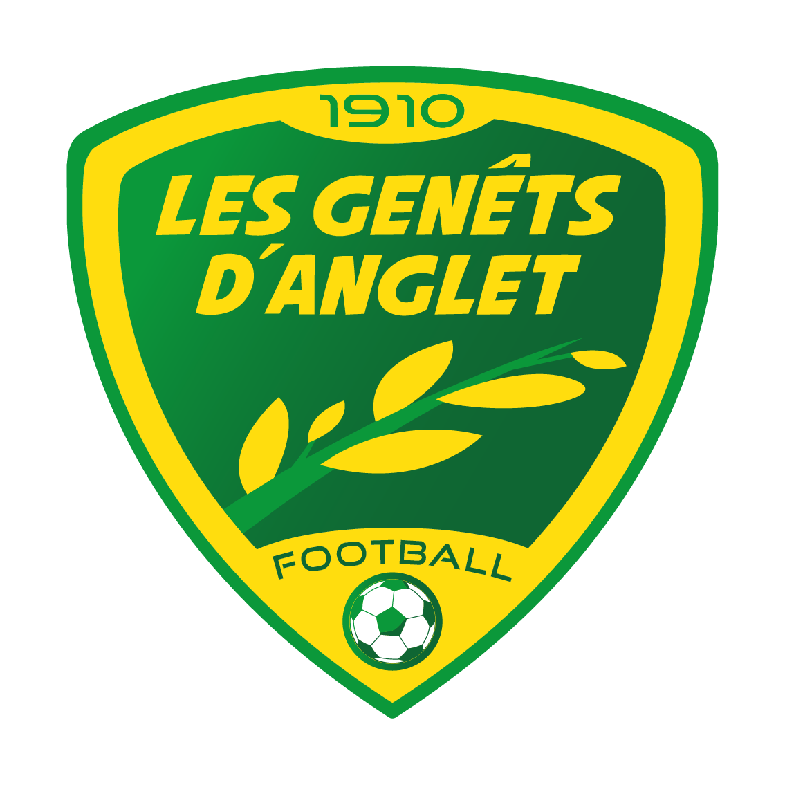 LES GENETS D'ANGLET FOOTBALL