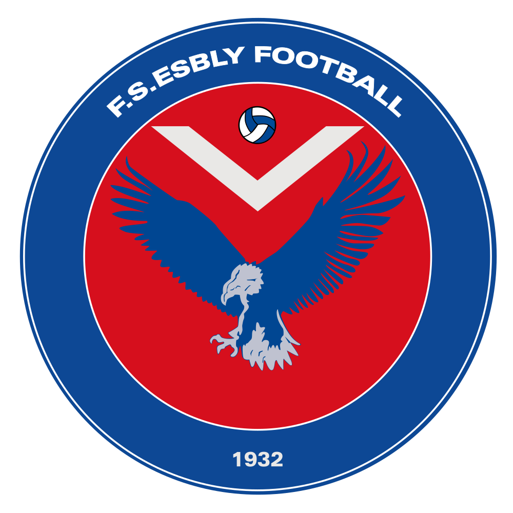 FRATERNELLE SPORTIVE ESBLY FOOTBALL
