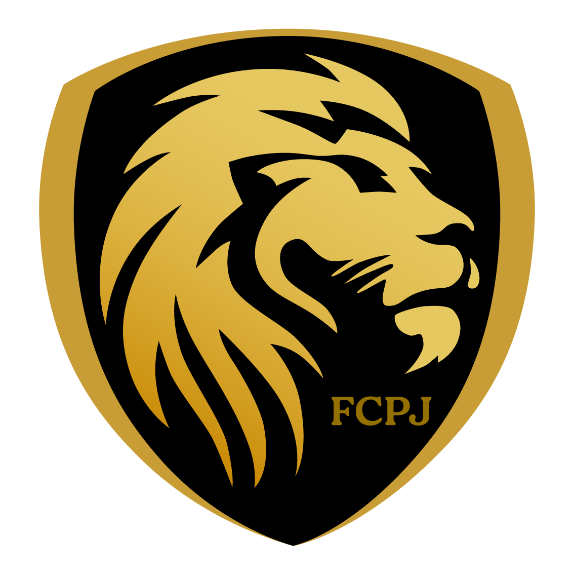 F.C. DU POINT DU JOUR