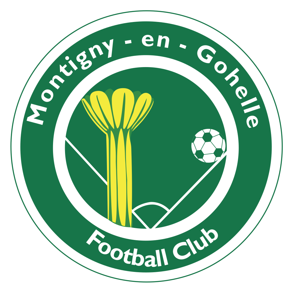 MONTIGNY EN GOHELLE F.C.