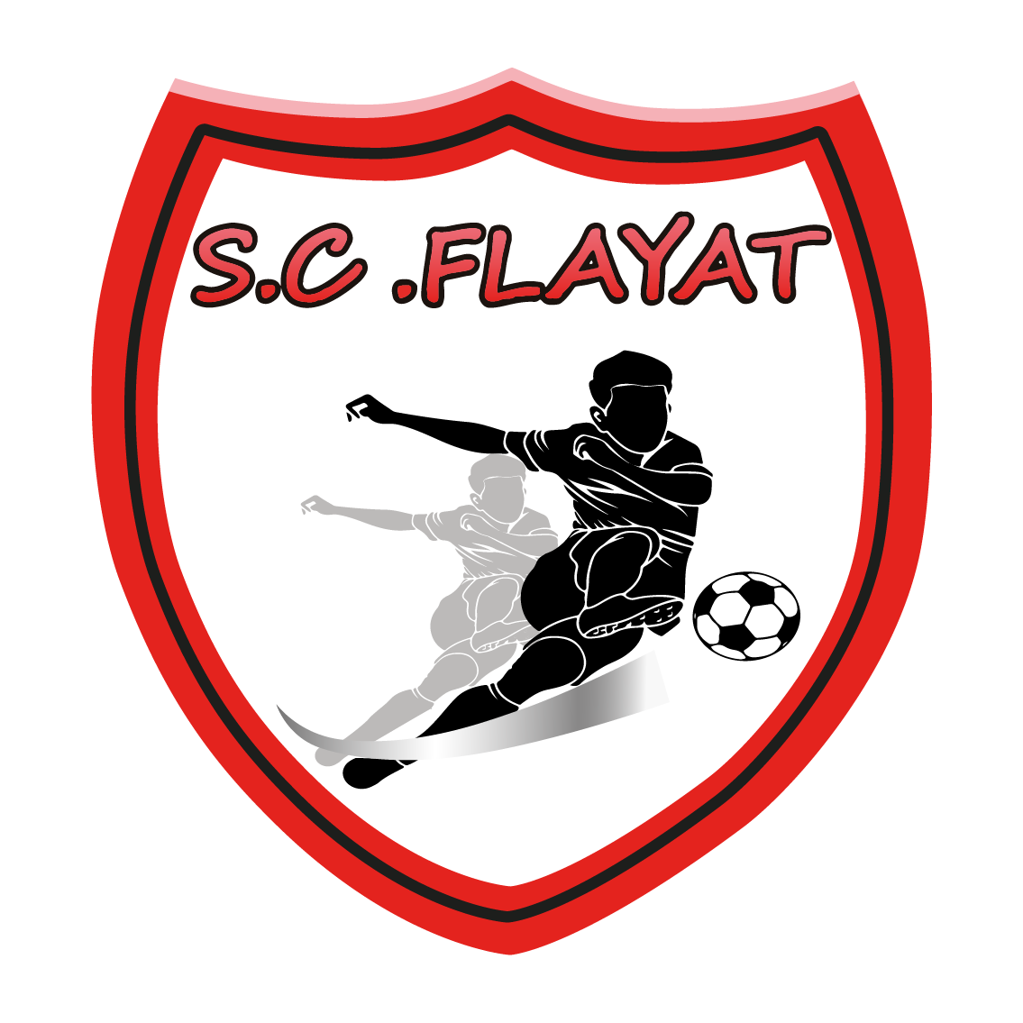 S.C. FLAYAT