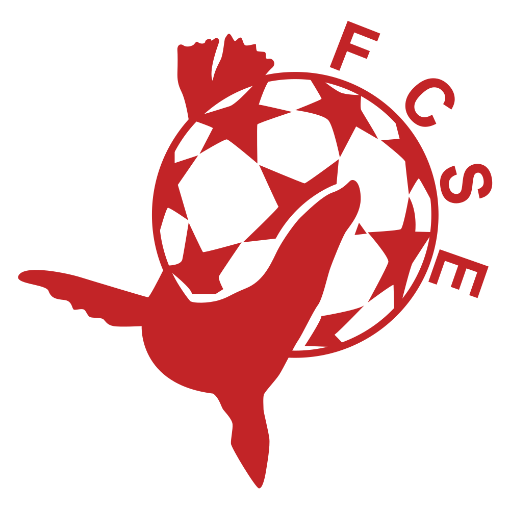 F.C. ST ETIENNE