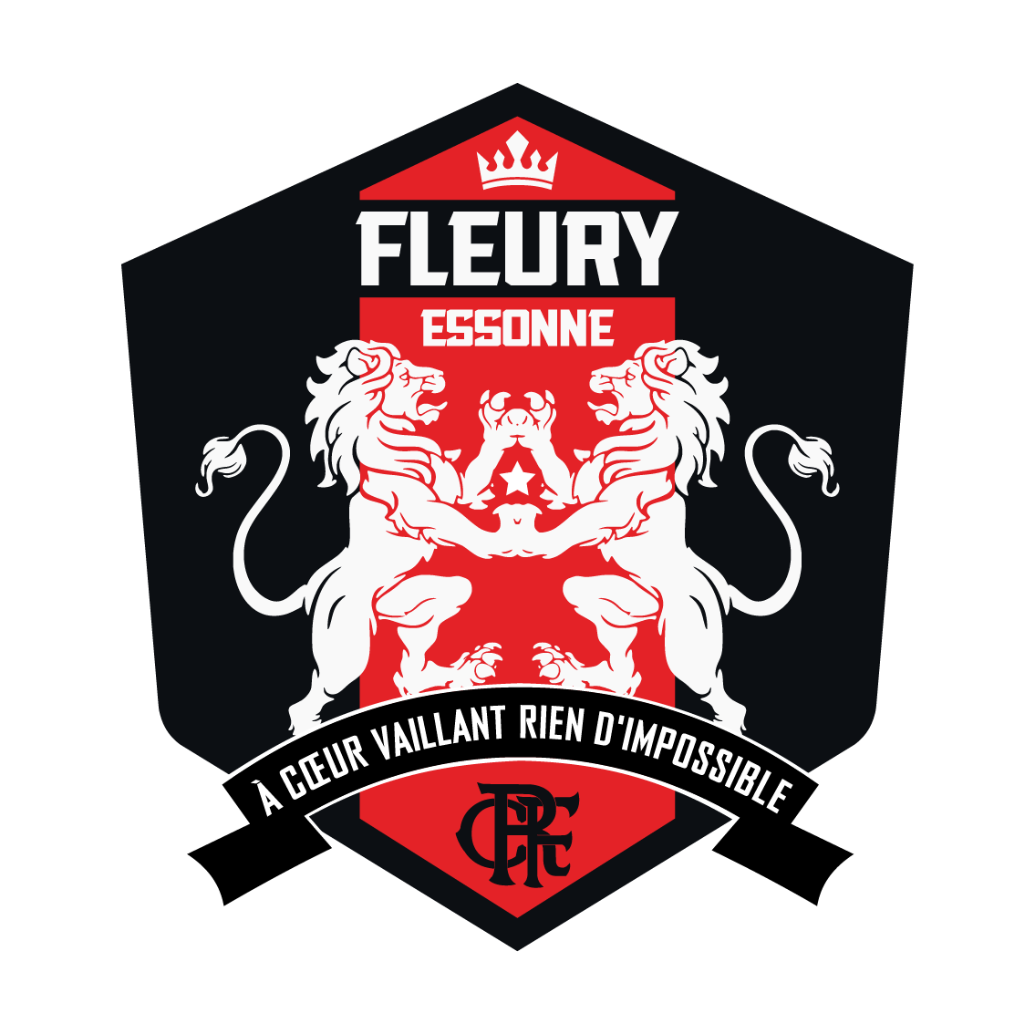FLEURY 91 F.C.