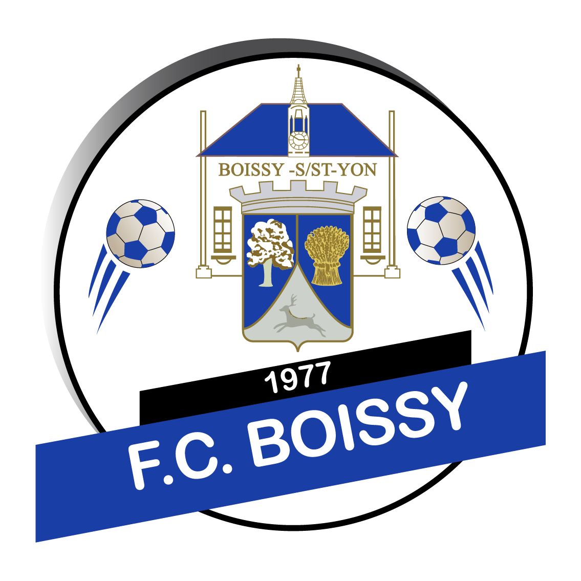 BOISSY SOUS ST YON F.C.