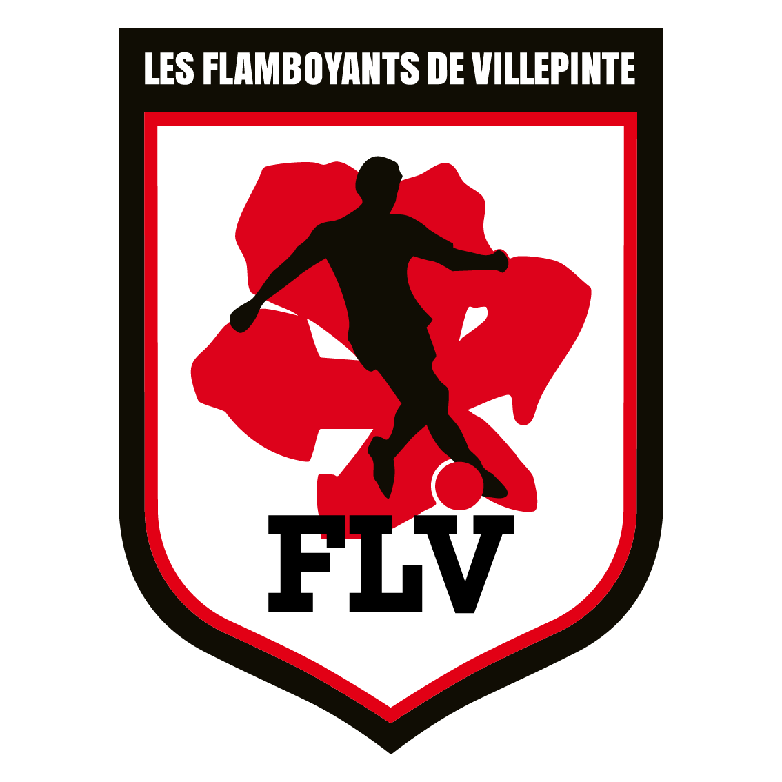 LES FLAMBOYANTS VILLEPINTE A.
