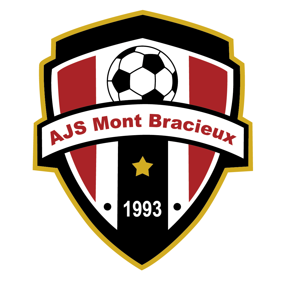 AM.J. SECT. MONT ET BRACIEUX