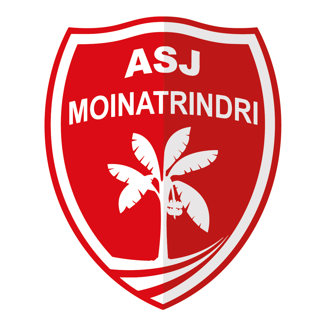 A.S.J. DE MOINATRINDRI