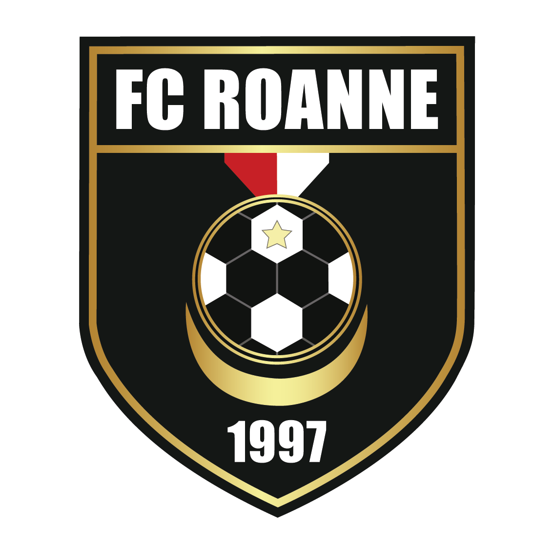 F. C. ROANNE