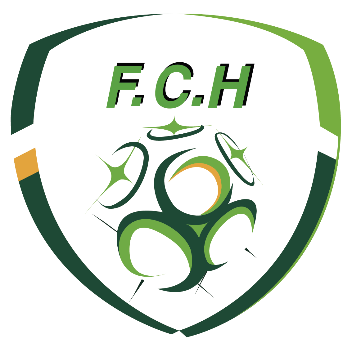 F.C. HOUDEMONT