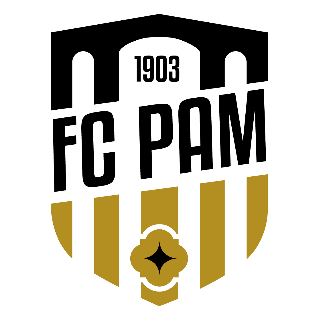 F. C. PONT A MOUSSON