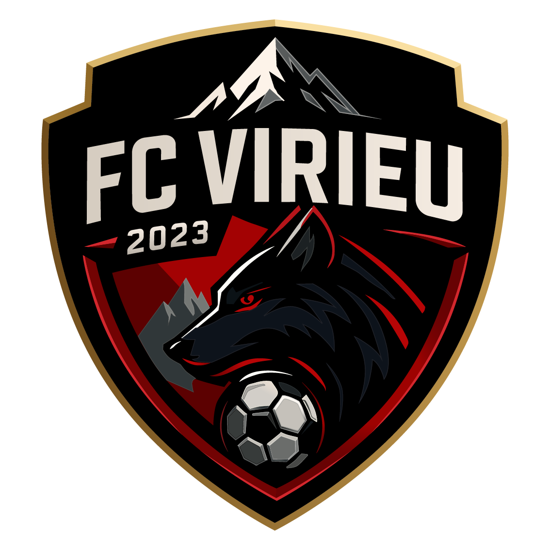 FOOTBALL CLUB TURC VIRIEU