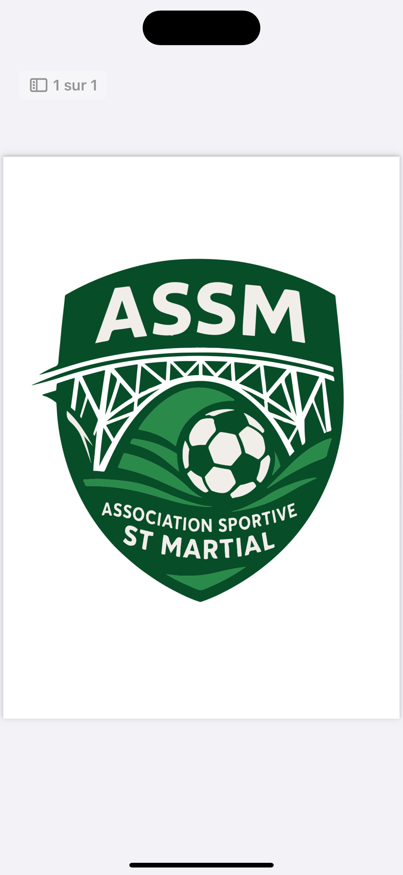 AS ST MARTIAL 