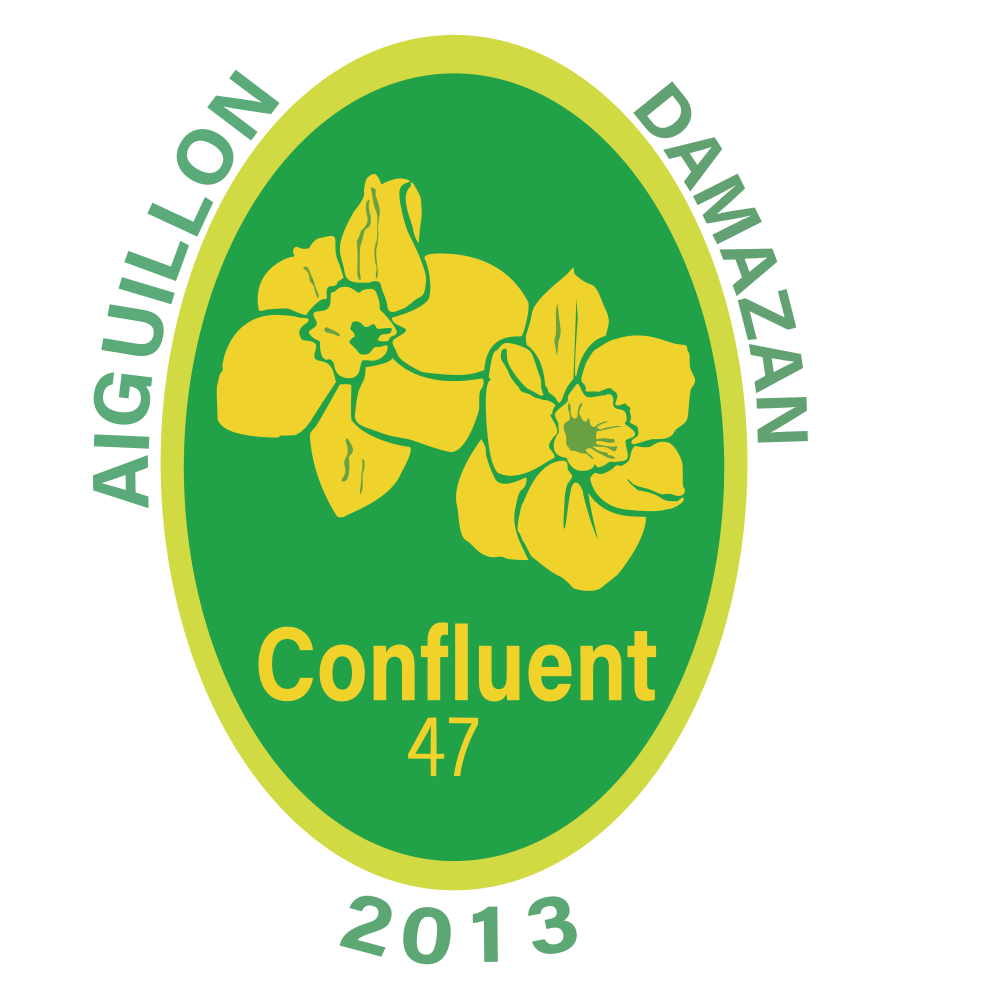 CONFLUENT FOOTBALL 47