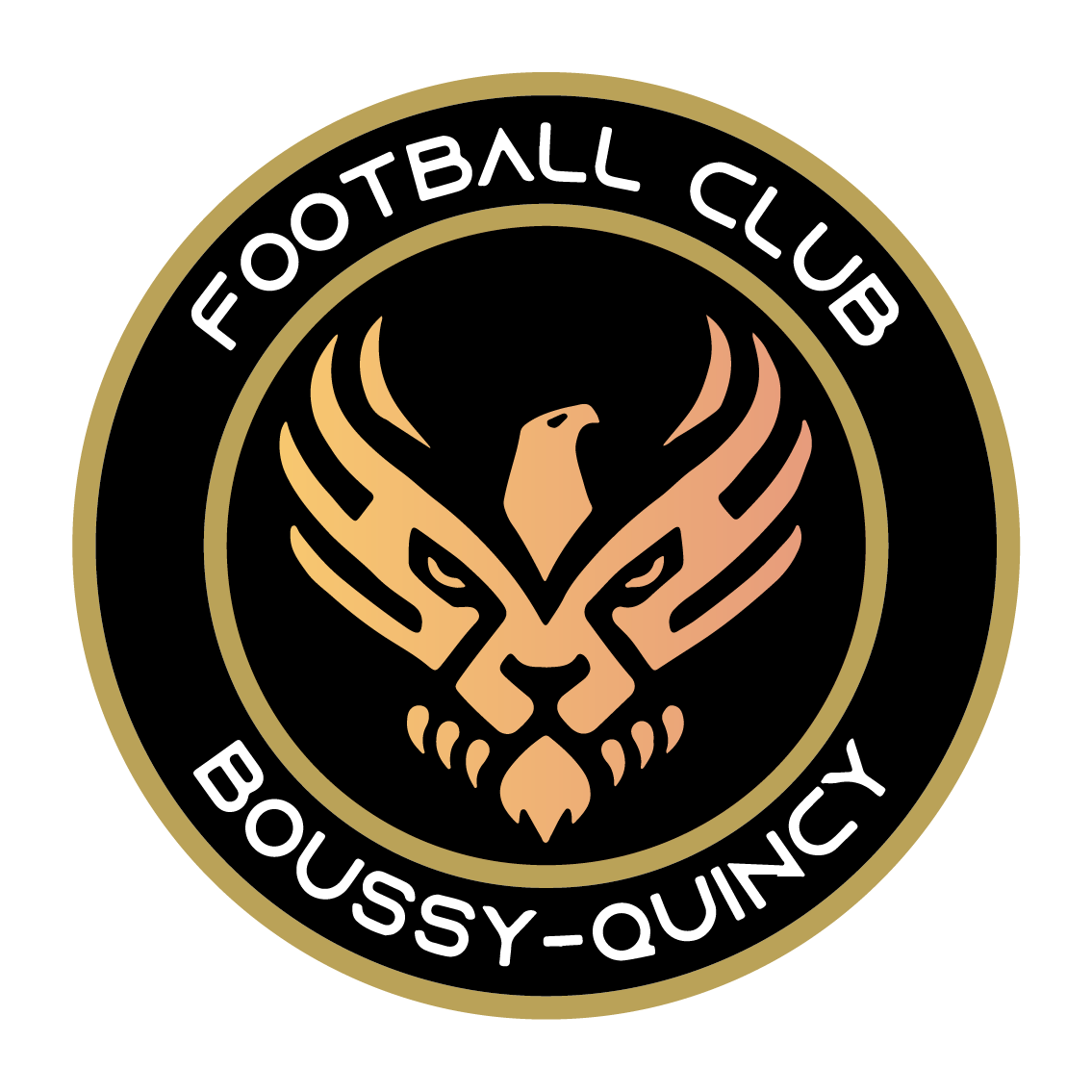 BOUSSY-QUINCY FOOTBALL CLUB