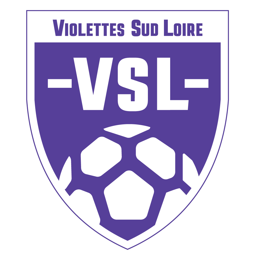 GF VERTOU SORINIERES