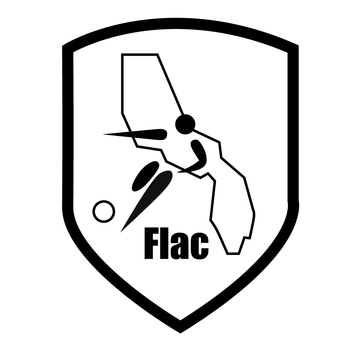 FUTSAL LAC D'ANNECY CLUB