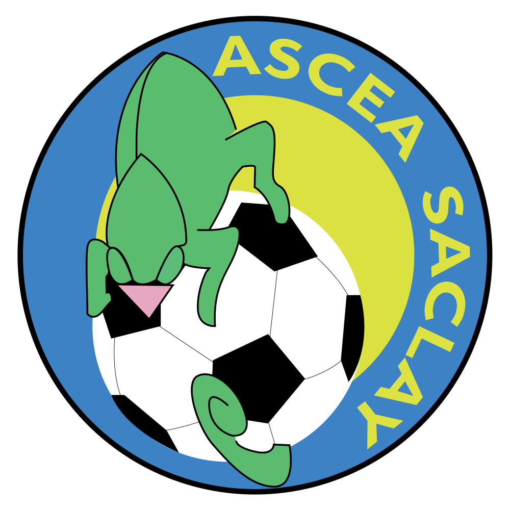 COMMISSARIAT E.ATO.SACLAY A.S.
