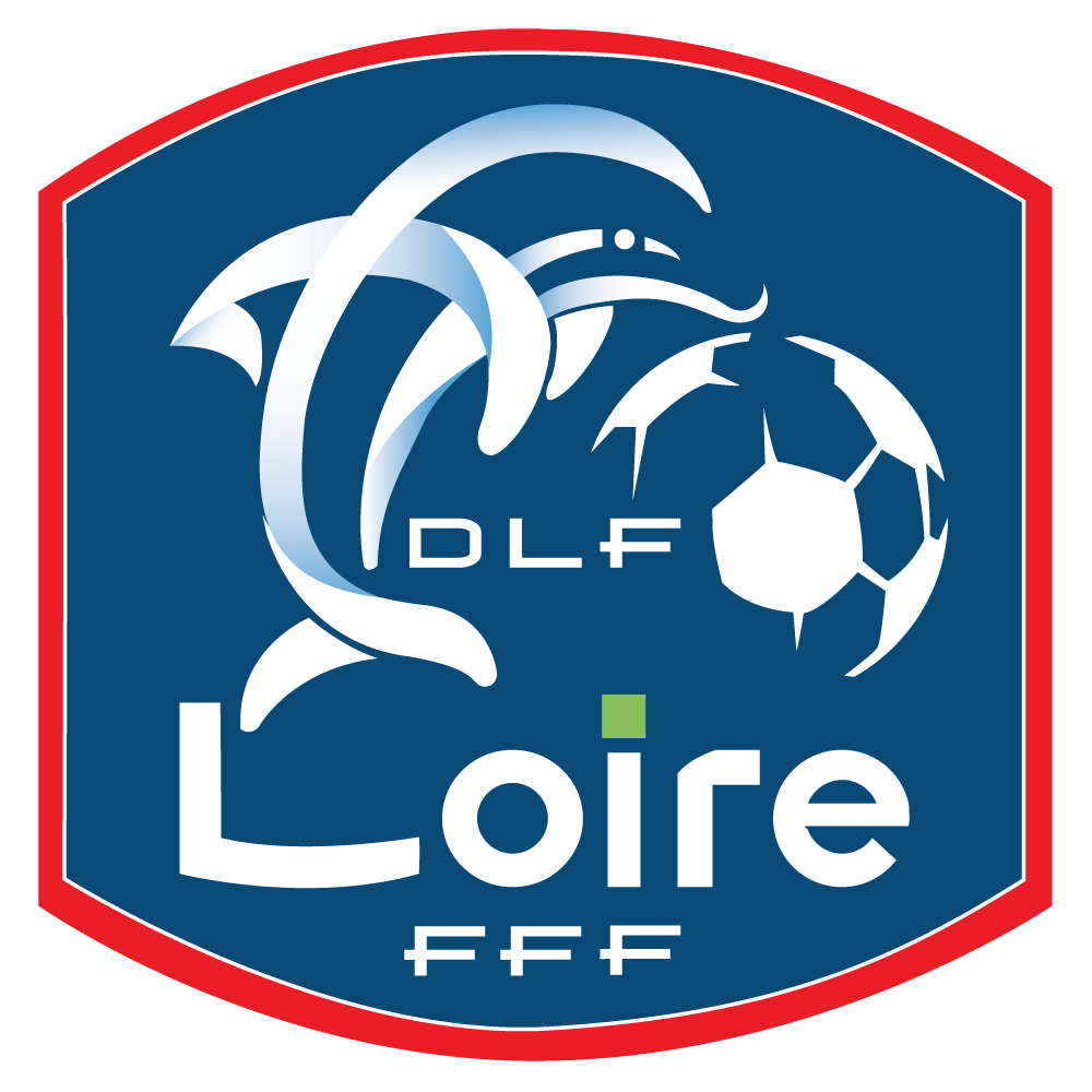DISTRICT LOIRE DE FOOTBALL