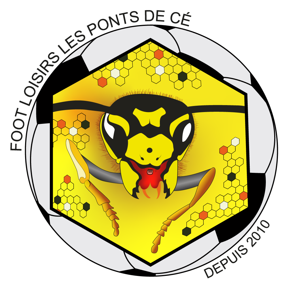FOOT LOISIRS PONTS DE CE AS